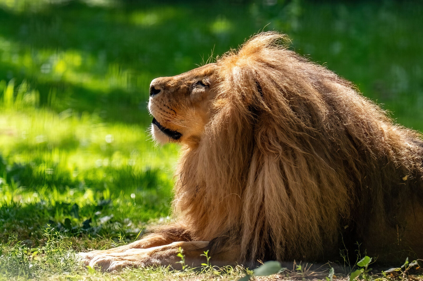 Zoo Rostock & Darwineum